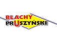 Blachy Pruszyński Budowlaną Marką Roku 2013